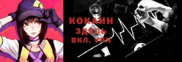 spice Аркадак