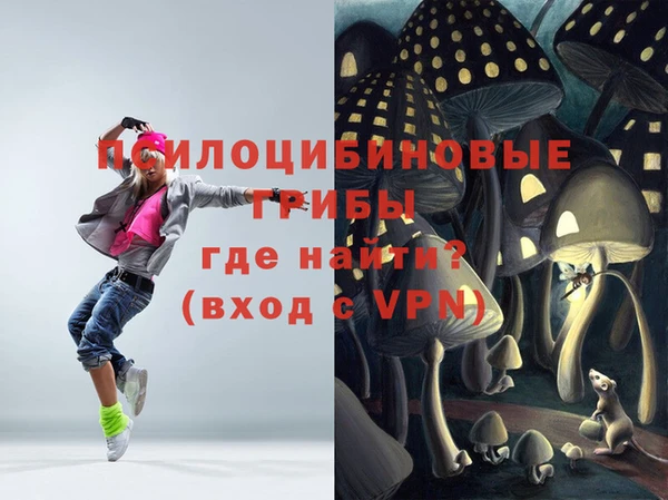 дмт Арсеньев