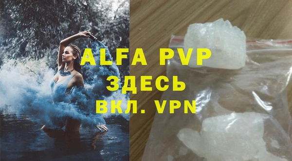 spice Аркадак