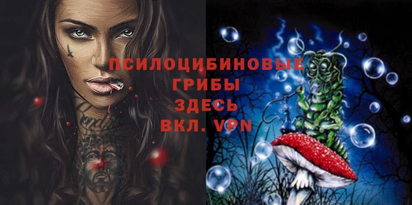 дмт Арсеньев