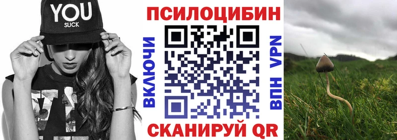 Купить Приволжский Галлюциногенные грибы Psilocybine cubensis