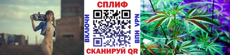 Купить  Приволжский  Канабис семена 